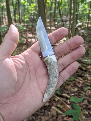 El İşçiliği Küçük Av Bıçağı Doğal Geyik Boynuzu Sap